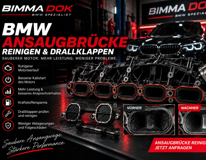 BMW Ansaugbrücke und Drallklappen Reinigung bei BIMMA DOK